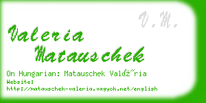 valeria matauschek business card